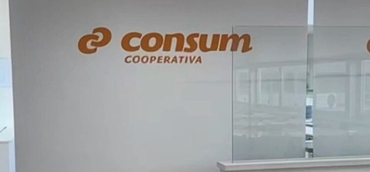 Estor enrollable blanco en la oficina consum